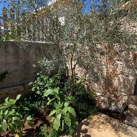 Πανσιόν Arnoale's House
